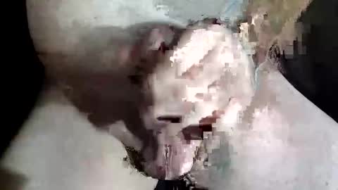 Z online show from December 2, 2025, 8:48 pm