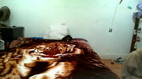 Sleazyycarlitx online show from January 17, 2026, 9:47 am