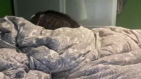 Snapshot of slice5 chatting on December 21, 2025, 9:49 am slice5 online show from December 21, 2025, 9:49 am