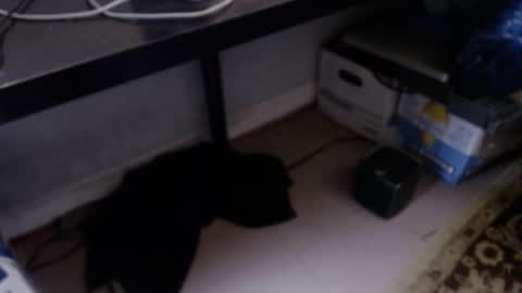 sliderguy699 online show from April 9, 2026, 10:48 pm