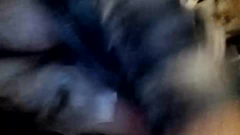 Snapshot of slutbreeze101 chatting on February 23, 2026, 3:59 am slutbreeze101 online show from February 23, 2026, 3:59 am