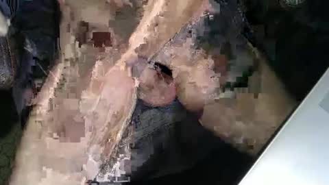 Snapshot of slyfast1 chatting on December 18, 2025, 5:02 am slyfast1 online show from December 18, 2025, 5:02 am