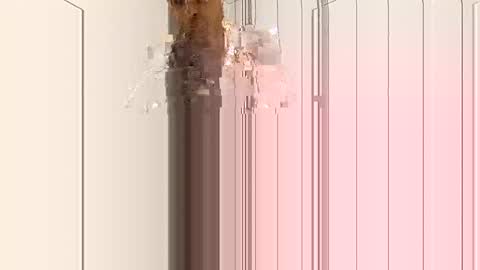 Snapshot of smilehiguy chatting on January 3, 2025, 4:33 am smilehiguy online show from January 3, 2025, 4:33 am