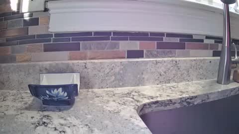 Snapshot of smthbtm53 chatting on March 14, 2026, 1:16 pm smthbtm53 online show from March 14, 2026, 1:16 pm