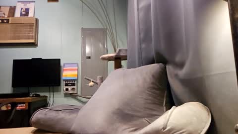 Snapshot of snackyyyy chatting on February 6, 2026, 1:10 am Snackyyyy online show from February 6, 2026, 1:10 am