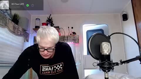 Viiscount  Snarfle Von Snarfenberg online show from February 28, 2025, 11:45 pm