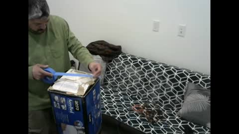 Snapshot of snizniz chatting on February 11, 2025, 6:30 am snizniz online show from February 11, 2025, 6:30 am