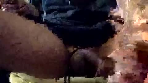 Snapshot of snowdaddy777 chatting on January 7, 2026, 7:55 am Lets play n party online show from January 7, 2026, 7:55 am