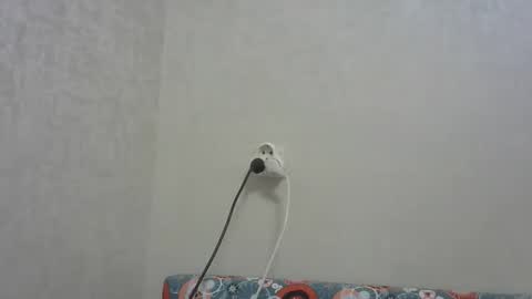 Snapshot of snowyqred chatting on December 19, 2025, 5:09 pm Arthur online show from December 19, 2025, 5:09 pm