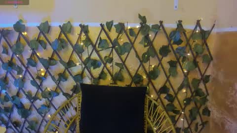 Snapshot of sobigcurvy44 chatting on December 1, 2025, 8:14 pm leidy online show from December 1, 2025, 8:14 pm