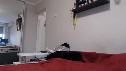 Sofi online show from November 11, 2025, 12:27 pm