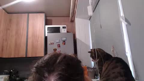 Sofi online show from January 7, 2026, 12:51 pm