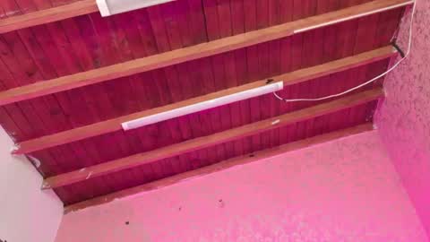 Snapshot of sofia_martinn chatting on November 14, 2025, 3:05 am Sofia online show from November 14, 2025, 3:05 am