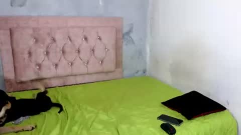 Snapshot of sofiadoll77 chatting on February 8, 2025, 9:03 am sofiadoll77 online show from February 8, 2025, 9:03 am