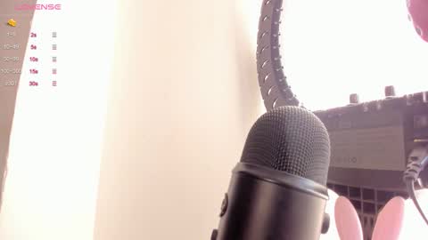 Snapshot of sofiia_pink chatting on March 4, 2026, 11:55 pm online show from March 4, 2026, 11:55 pm