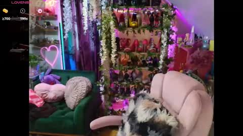 Snapshot of solesticia chatting on April 2, 2026, 9:12 pm solesticia online show from April 2, 2026, 9:12 pm