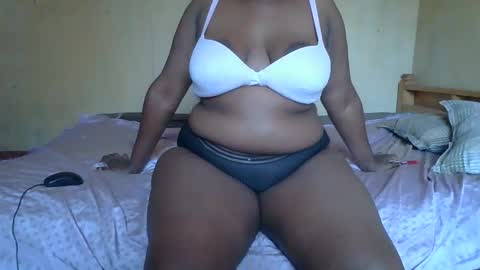 Solly bunny online show from February 3, 2026, 8:41 am