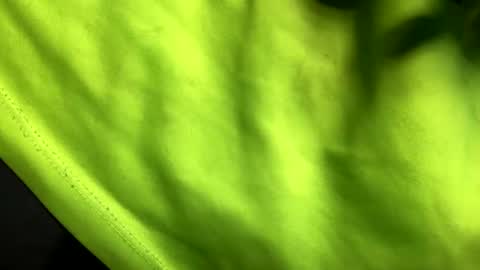 Soni online show from February 10, 2025, 6:31 am