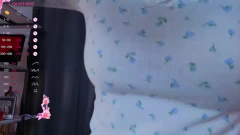 Sofia online show from November 5, 2025, 5:24 pm