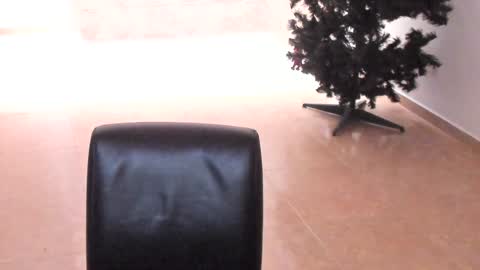 Snapshot of sophia_harry chatting on December 14, 2024, 1:38 pm sophia CM online show from December 14, 2024, 1:38 pm