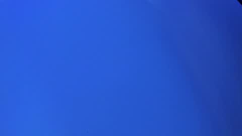 Sofi online show from February 24, 2025, 12:05 pm