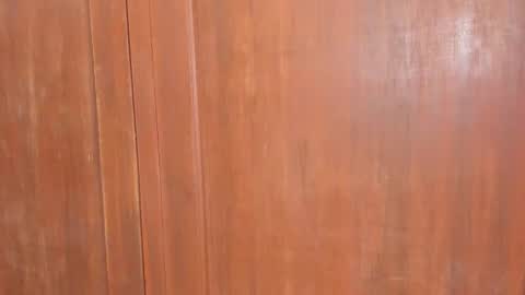 Snapshot of sophiia88 chatting on February 18, 2026, 12:01 pm Shopiia88 online show from February 18, 2026, 12:01 pm