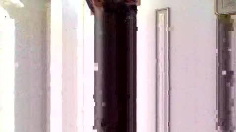 Snapshot of sorfo chatting on January 15, 2026, 10:31 am Sorfo online show from January 15, 2026, 10:31 am