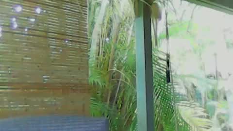 Snapshot of soveryhandsome chatting on January 4, 2025, 5:58 am soveryhandsome online show from January 4, 2025, 5:58 am