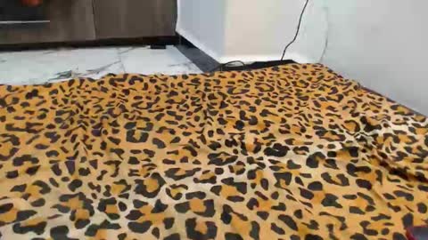 dela online show from September 13, 2025, 12:43 am