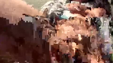 Snapshot of spicysam7901 chatting on December 16, 2024, 7:32 pm Sammi online show from December 16, 2024, 7:32 pm