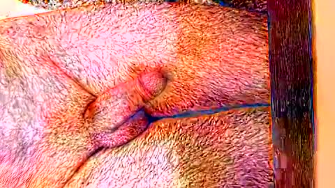 sprayx online show from February 8, 2026, 11:35 am