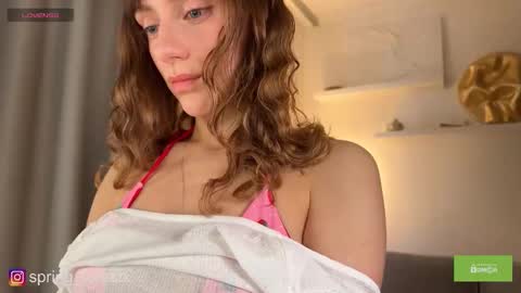 Snapshot of spring_forestx chatting on February 2, 2026, 12:48 pm Lilly online Monday - Friday ask time in pm online show from February 2, 2026, 12:48 pm