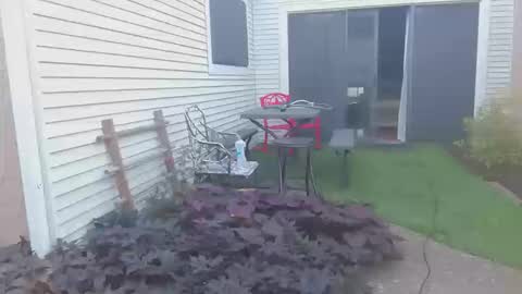 Snapshot of srtxshow chatting on October 20, 2025, 12:49 pm srtxshow online show from October 20, 2025, 12:49 pm