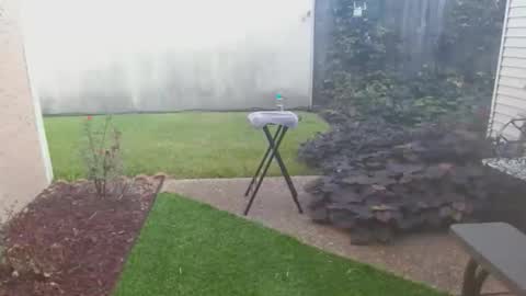 Snapshot of srtxshow chatting on October 21, 2025, 2:07 pm srtxshow online show from October 21, 2025, 2:07 pm