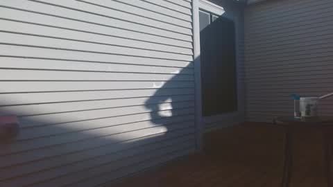 Snapshot of srtxshow chatting on February 9, 2026, 3:16 pm srtxshow online show from February 9, 2026, 3:16 pm