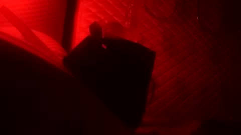 Dick online show from October 22, 2025, 8:36 am