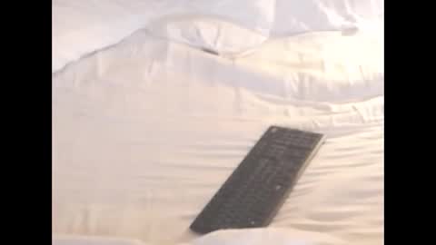 st8llion online show from November 8, 2025, 2:12 am