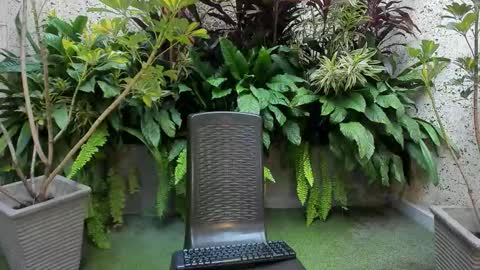 Snapshot of staar_hot chatting on February 1, 2026, 12:26 pm STAAR HOT online show from February 1, 2026, 12:26 pm