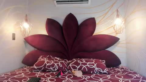 Snapshot of staar_hot chatting on February 19, 2026, 12:23 pm STAAR HOT online show from February 19, 2026, 12:23 pm