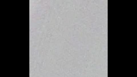 Stacy online show from February 19, 2025, 12:11 pm