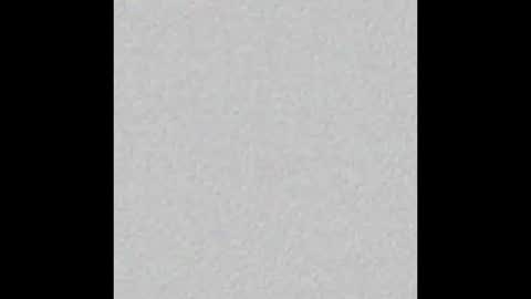 Stacy online show from November 12, 2025, 11:54 am