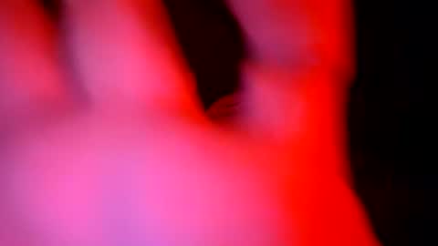 stallion_bear online show from July 5, 2026, 4:25 pm