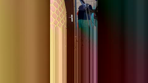 stambo0704987834 online show from January 17, 2026, 1:16 pm