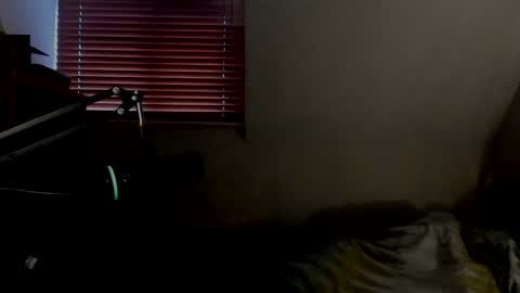 Snapshot of starlight1987 chatting on December 16, 2024, 3:11 pm Adam online show from December 16, 2024, 3:11 pm