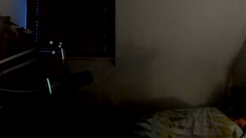 Snapshot of starlight1987 chatting on January 4, 2025, 8:17 am Adam online show from January 4, 2025, 8:17 am