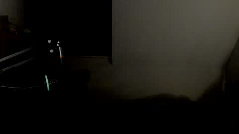 Snapshot of starlight1987 chatting on January 11, 2025, 5:52 am Adam online show from January 11, 2025, 5:52 am