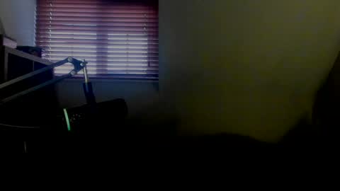 Snapshot of starlight1987 chatting on January 13, 2025, 8:05 am Adam online show from January 13, 2025, 8:05 am