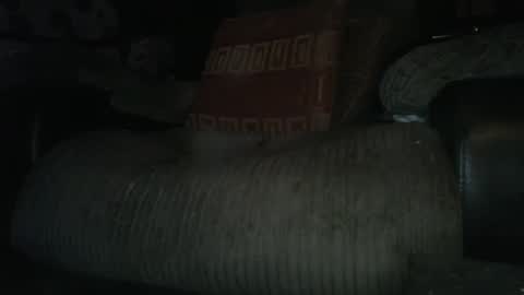 ste_wulf online show from March 4, 2025, 1:34 am