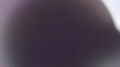 Stefano online show from December 3, 2025, 11:41 am