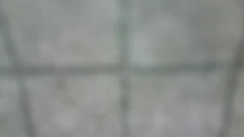 stefhr online show from December 5, 2024, 12:11 pm